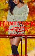 Hometown Harem Book One: MFFF Contemporary Harem Series by Carley Hitchens