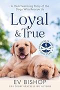 Loyal & True: A Heartwarming Story of the Dogs Who Rescue Us (Dragonfly Cove Dog Park #5) by Ev Bishop