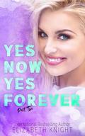 Yes Now Yes Forever (Sunshine & Rainbows Omegaverse #4) by Elizabeth Knight