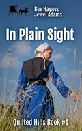 In Plain Sight (Quilted Hills #1) by Bev Haynes