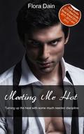 Meeting Mr Hot by Flora Dain