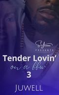 Tender Lovin' On A BBW 3 by Juwell