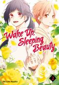 Wake Up, Sleeping Beauty, Vol. 2 by Megumi Morino