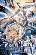 Tegami Bachi, Vol. 12 (テガミバチ / Tegami Bachi #12) by Hiroyuki Asada