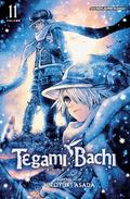 Tegami Bachi, Vol. 11 by Hiroyuki Asada