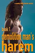 Demolition Man's Harem Book 1: One lucky man's MFFF tale by Sandy Laine