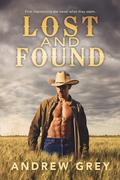 Lost and Found by Andrew Grey
