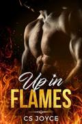 Up In Flames (Dark Reserves #0.5) by C.S. Joyce