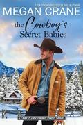 The Cowboy’s Secret Babies (The Careys of Cowboy Point #3) by Megan Crane