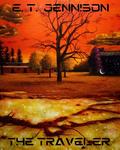 The Traveler: The Dream Chronicles by David King