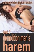 Demolition Man's Harem Book 3: A realistic MFFF harem tale by Sandy Laine