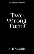 Two Wrong Turns: A Paranormal MPreg Romance by Allie W. Scott