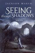 Seeing Through Shadows (The Larkspur Mysteries #4) by Jackson Marsh