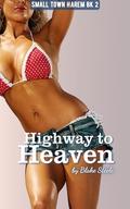 Highway to Heaven: A small town slice-of-life contemporary harem romance (Small Town Harem #2) by Blake Steele