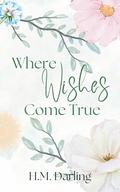 Where Wishes Come True: A Small Town, Sapphic Romance Novella by H.M. Darling