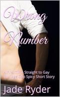 Wrong Number: A First Time Straight to Gay MM Age Gap Spicy Short Story by Jade Ryder