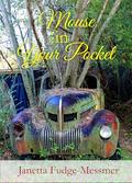 Mouse in Your Pocket by Janetta Fudge-Messmer