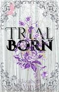 Trial Born: Immortal's End book Three by Elizabeth Myrva