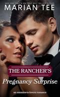 The Rancher's Pregnancy Surprise: Enemies to Lovers Romance by Marian Tee