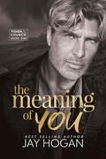 The Meaning Of You by Jay Hogan