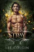 Stray by Lee Colgin