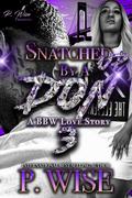Snatched Up by a Don: A BBW Love Story 3 by P. Wise