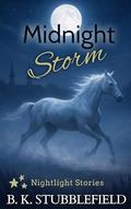 Midnight Storm (Tiny tales that let you unwind with cozy, feel-good moments and heartwarming connections. No spice, just nice #3) by B. K. Stubblefield