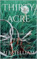 Thirtyacre by AJ Estelliam