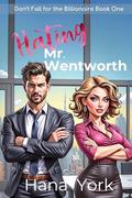 Hating Mr. Wentworth: A Flirty Enemies-to-Lovers Romcom Between the Billionaire CEO She Swore to Hate and the Woman He Can’t Resist (Falling for the Billionaire #1) by Hana York