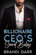 Billionaire CEO's Secret Baby: An Enemies to Lovers One Night Stand Romance by Brandi Garr