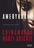 Americanah by Chimamanda Ngozi Adichie