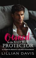 Owned by the Bad Boy Protector by Lillian Davis