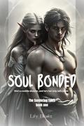 SOUL BONDED: She's a mobile disaster, and he's her only safe place by Lily Blake