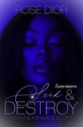 Seek & Destroy: Esani & Kwame's Story by Rosè Dior