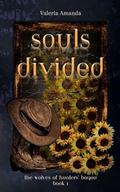 Souls Divided: Book 1 of The Wolves of Hunters' Bayou by Valeria Amanda