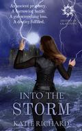 Into The Storm (Destiny Of Graystone #2) by Katie Richard