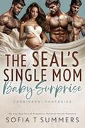 The SEALs' Single Mom Baby Surprise by Sofia T Summers