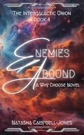 Enemies Abound (The Intergalactic Union #4) by Natasha Campbell-Jones