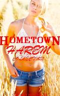 Hometown Harem Series Collection : MFFF Contemporary Harem Series (Books #1-3) by Carley Hitchens