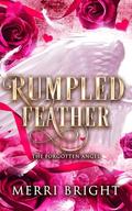 Rumpled Feather by Merri Bright