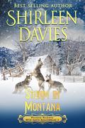 Storm in Montana (Montana Becketts, Wild Spirit Ranch #3) by Shirleen Davies