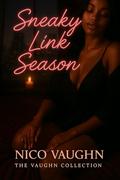Sneaky Link Season : Volume One by Nico Vaughn