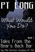 Tales From the Bear’s Back Bar: What Would You Do? (Bear’s Back MC Club #1) by P.T. Long