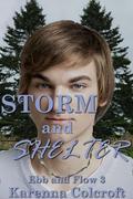 Storm and Shelter: Ebb & Flow 3 by Karenna Colcroft