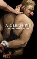 A Clean Pig: M/M BDSM Fantasy Erotica Short by Johannes T. Evans