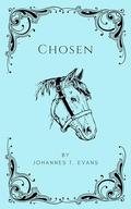 Chosen: Gay Period Fiction Short Story by Johannes T. Evans