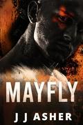 Mayfly: A dark MM hitman X secret agent, bi awakening romance by J.J. Asher