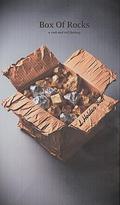 Box Of Rocks: A rock and roll fantasy by L. Holden Buff