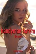 Handyman Harem: An honest, hard-working man gets and his three office girls by Sandy Laine