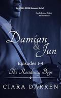 Damian & Jun: Episodes 1-4: An MMM+ BDSM Romance (The Residency Boys #6) by Ciara Darren